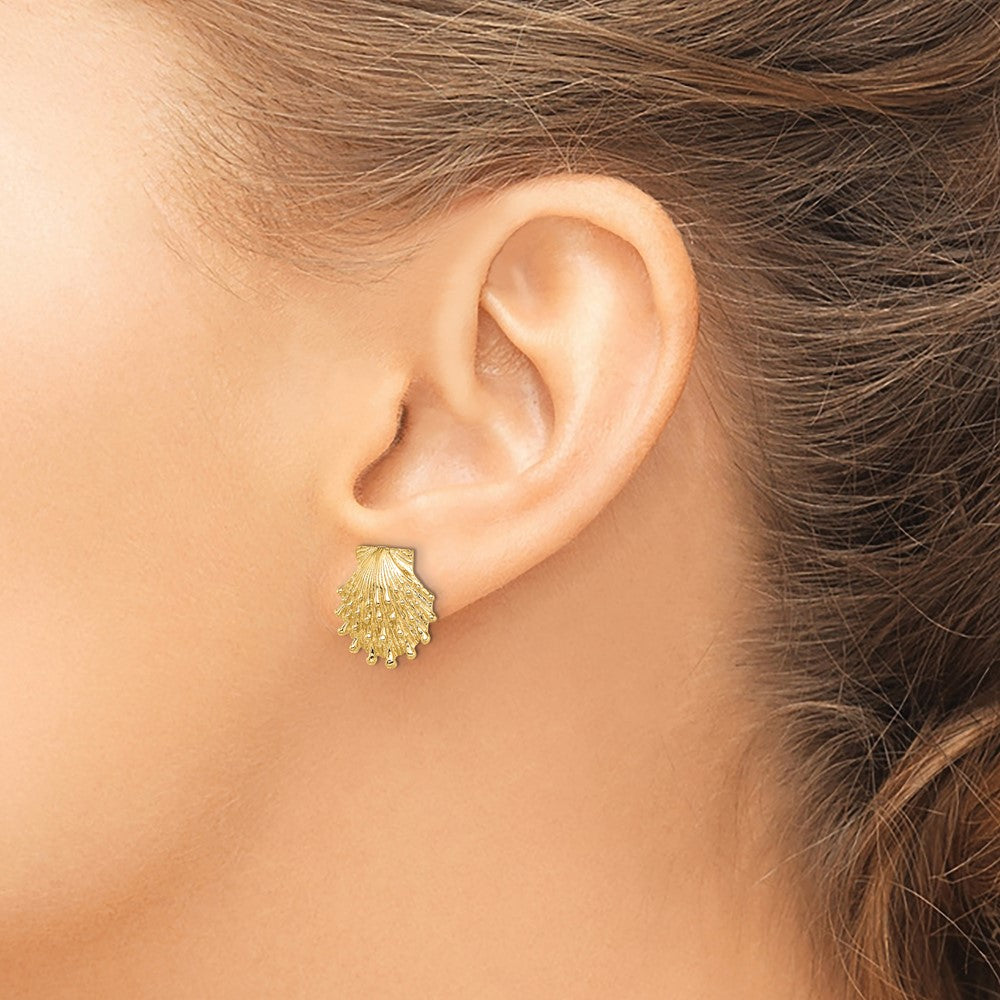 14K Yellow Gold Lion's Paw Shell Post Earrings