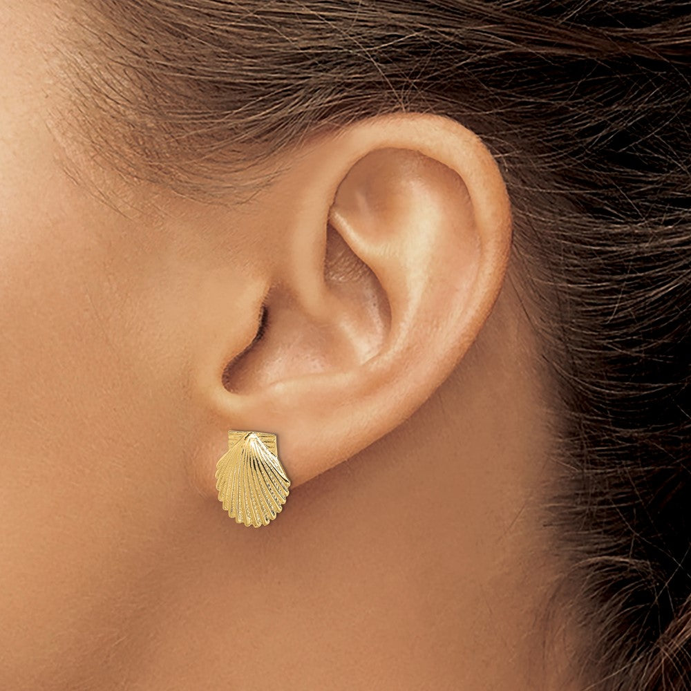 14K Yellow Gold 2D Polished Scallop Shell Post Earrings