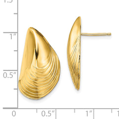 14K Yellow Gold Polished Mussel Shell Post Earrings