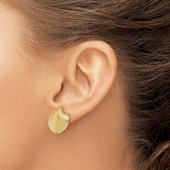 14K Yellow Gold 2D Textured and Polished Clam Shell Post Earrings