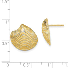 14K Yellow Gold 2D Textured and Polished Clam Shell Post Earrings