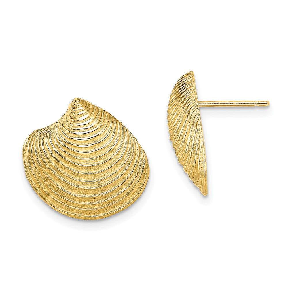 14K Yellow Gold 2D Textured and Polished Clam Shell Post Earrings