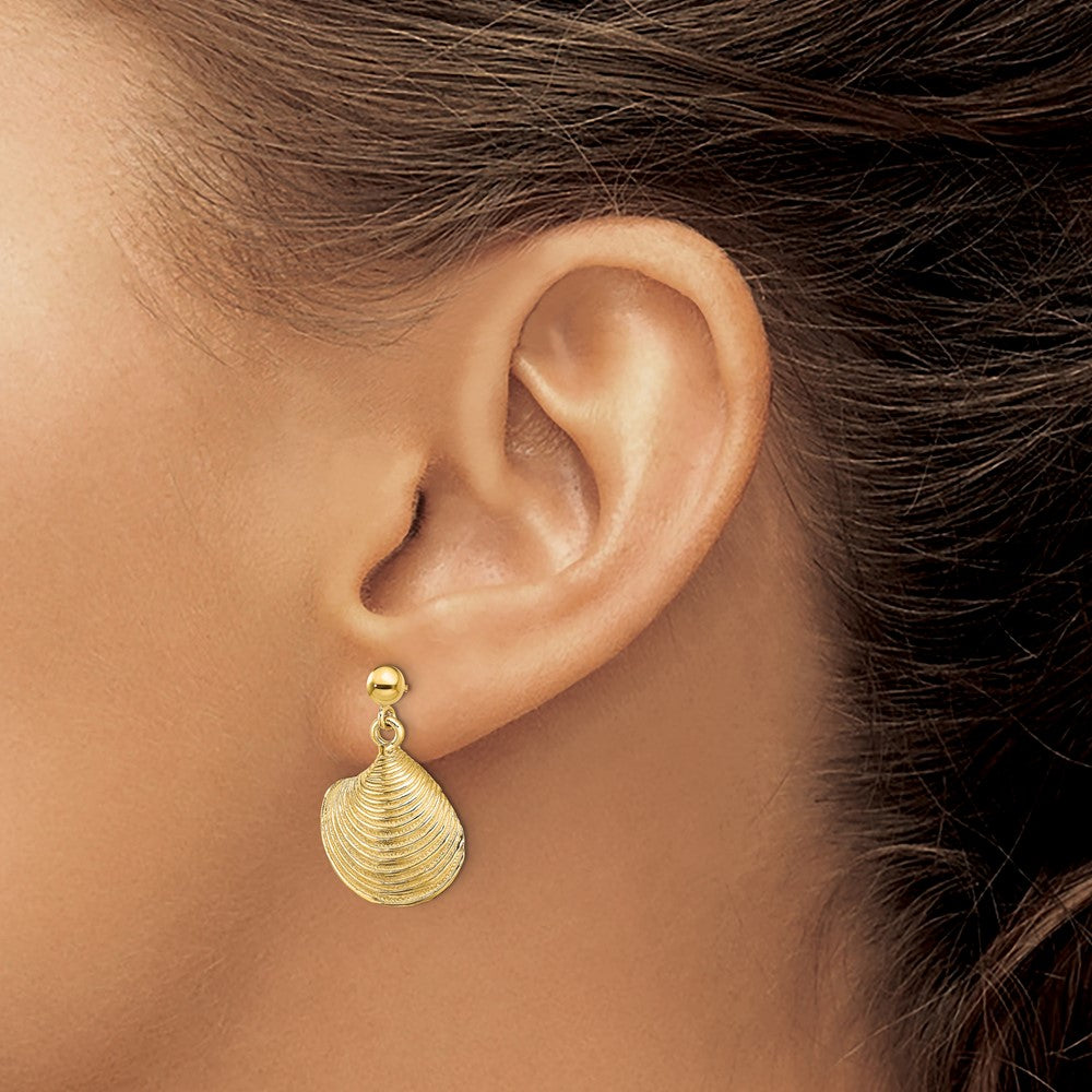 14K Yellow Gold 2D Textured and Polished Clam Shell Dangle Earrings