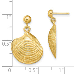 14K Yellow Gold 2D Textured and Polished Clam Shell Dangle Earrings