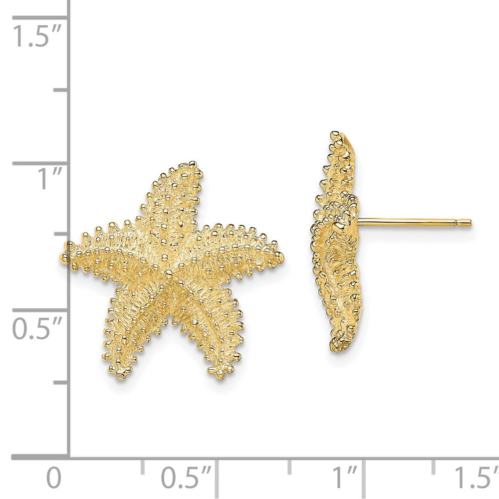 14K Yellow Gold Textured and Beaded Starfish Post Earrings