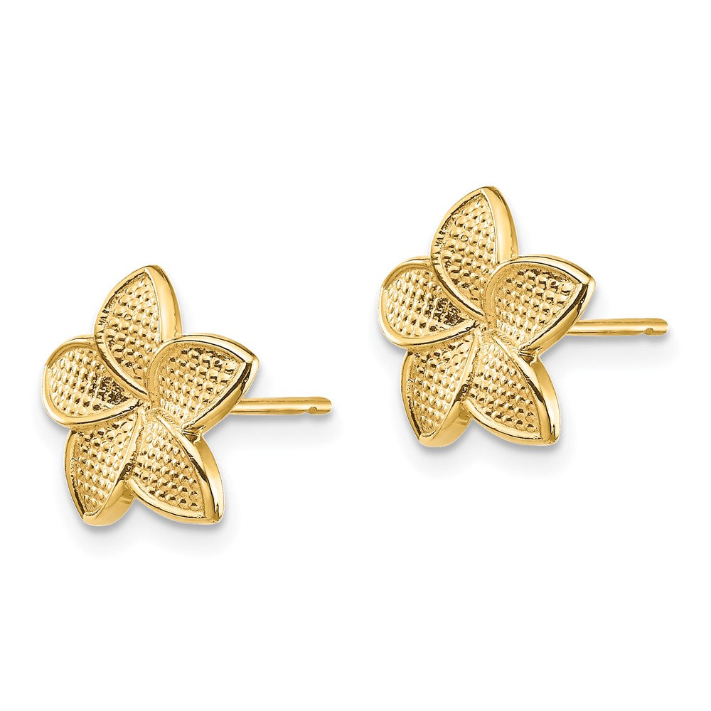 14K Yellow Gold Polished & Textured Plumeria Post Earrings