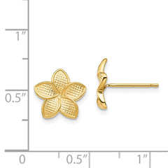 14K Yellow Gold Polished & Textured Plumeria Post Earrings