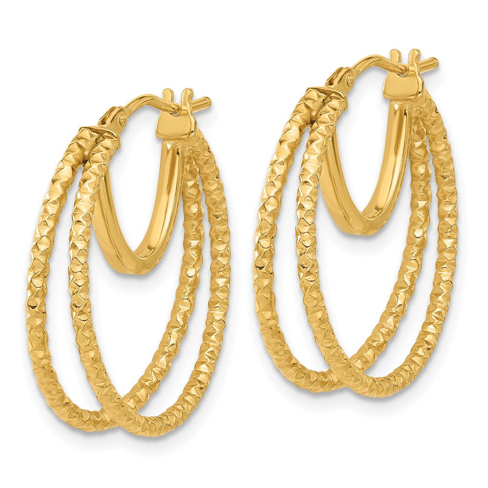 14K Yellow Gold Polished and Textured Double Circle Hoop Earrings