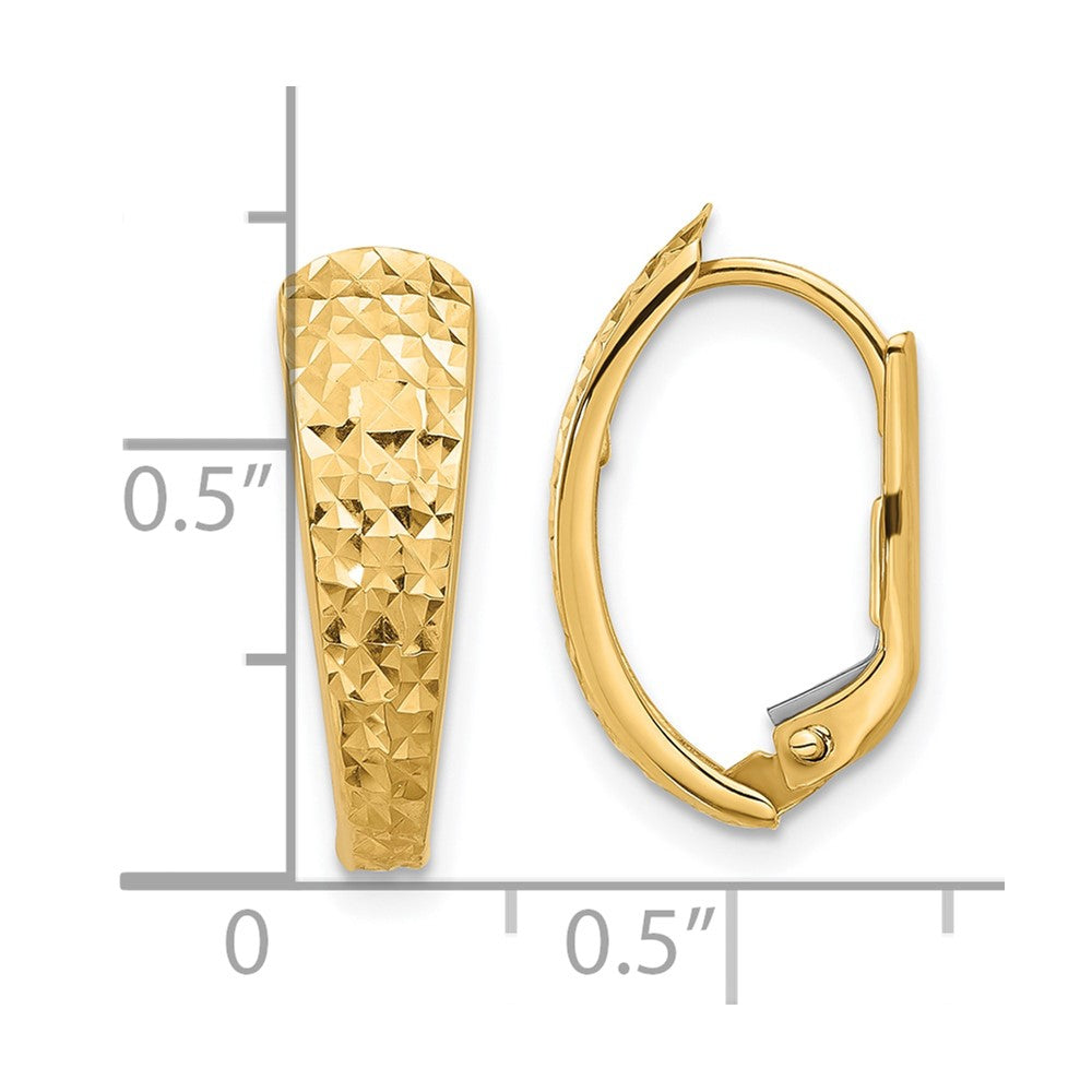 14K Yellow Gold Polished and Diamond-cut Leverback Earrings