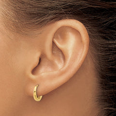 14K Yellow Gold Polished Hinged Hoop Earrings