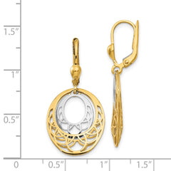 14K Two-Tone Gold Polished Leverback Earrings