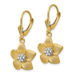 14K Two-Tone Gold Plumeria Leverback Earrings