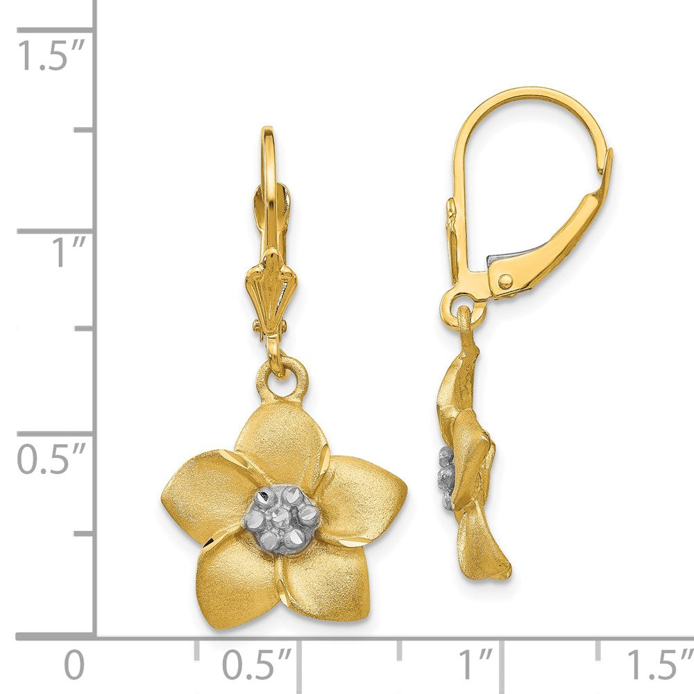 14K Two-Tone Gold Plumeria Leverback Earrings