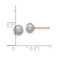14K Yellow Gold 5-6mm Grey Button FWC Pearl Stud Post Earrings