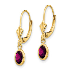 14K Yellow Gold 6x4 Oval Bezel June Rhodolite Leverback Earrings