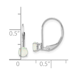 14K White Gold 4mm Round October Opal Leverback Earrings