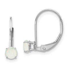 14K White Gold 4mm Round October Opal Leverback Earrings