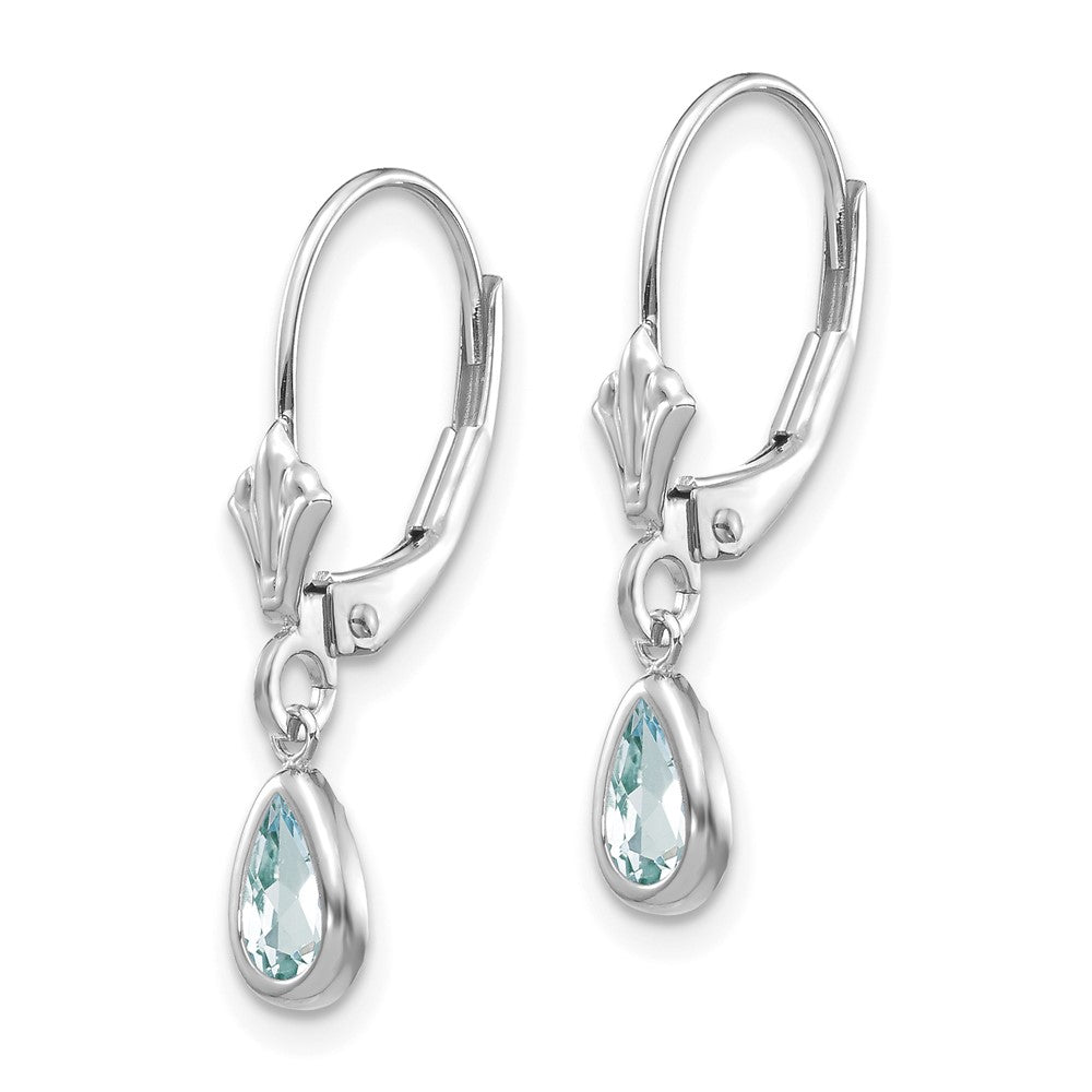 14K White Gold 6x4mm Aquamarine March Earrings
