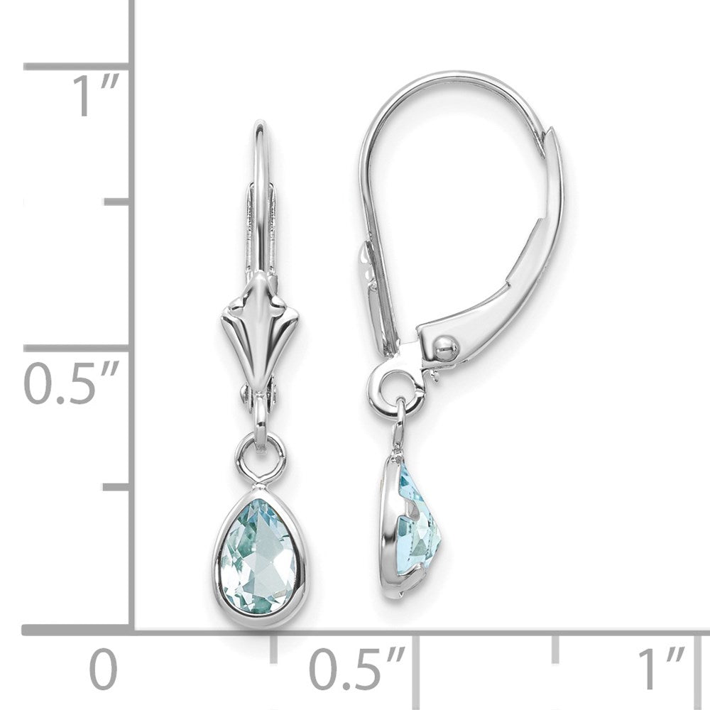 14K White Gold 6x4mm Aquamarine March Earrings
