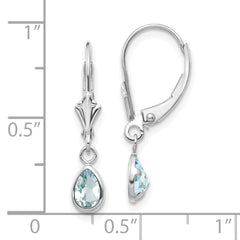 14K White Gold 6x4mm Aquamarine March Earrings