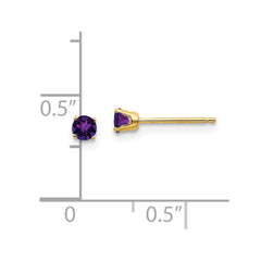 14K Yellow Gold 3mm February Amethyst Post Earrings