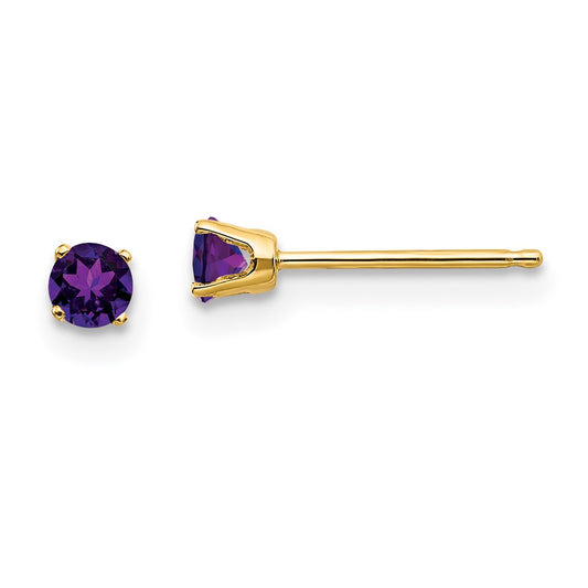 14K Yellow Gold 3mm February Amethyst Post Earrings