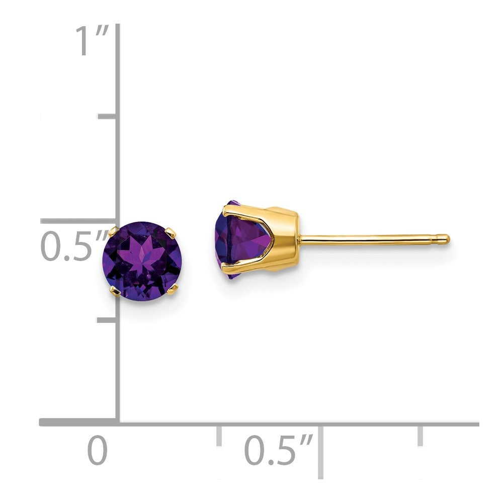 14K Yellow Gold 5mm February Amethyst Stud Earrings