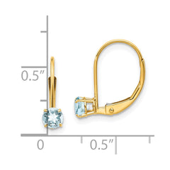 14K Yellow Gold Aquamarine Earrings - March