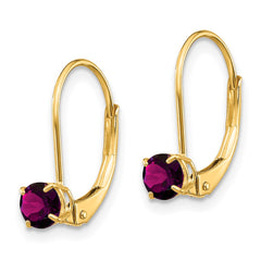 14K Yellow Gold 4mm Round June Rhodolite Leverback Earrings