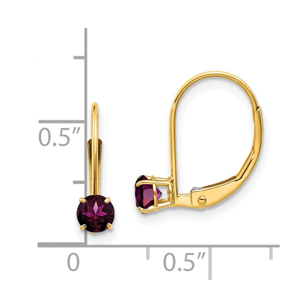 14K Yellow Gold 4mm Round June Rhodolite Leverback Earrings