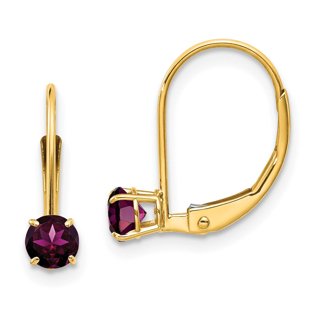 14K Yellow Gold 4mm Round June Rhodolite Leverback Earrings