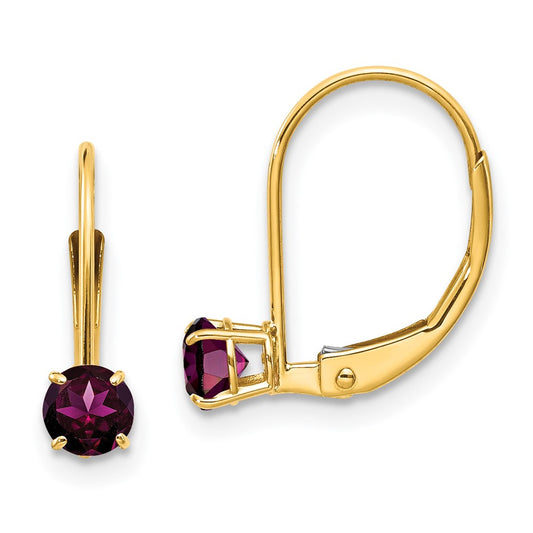 14K Yellow Gold 4mm Round June Rhodolite Leverback Earrings