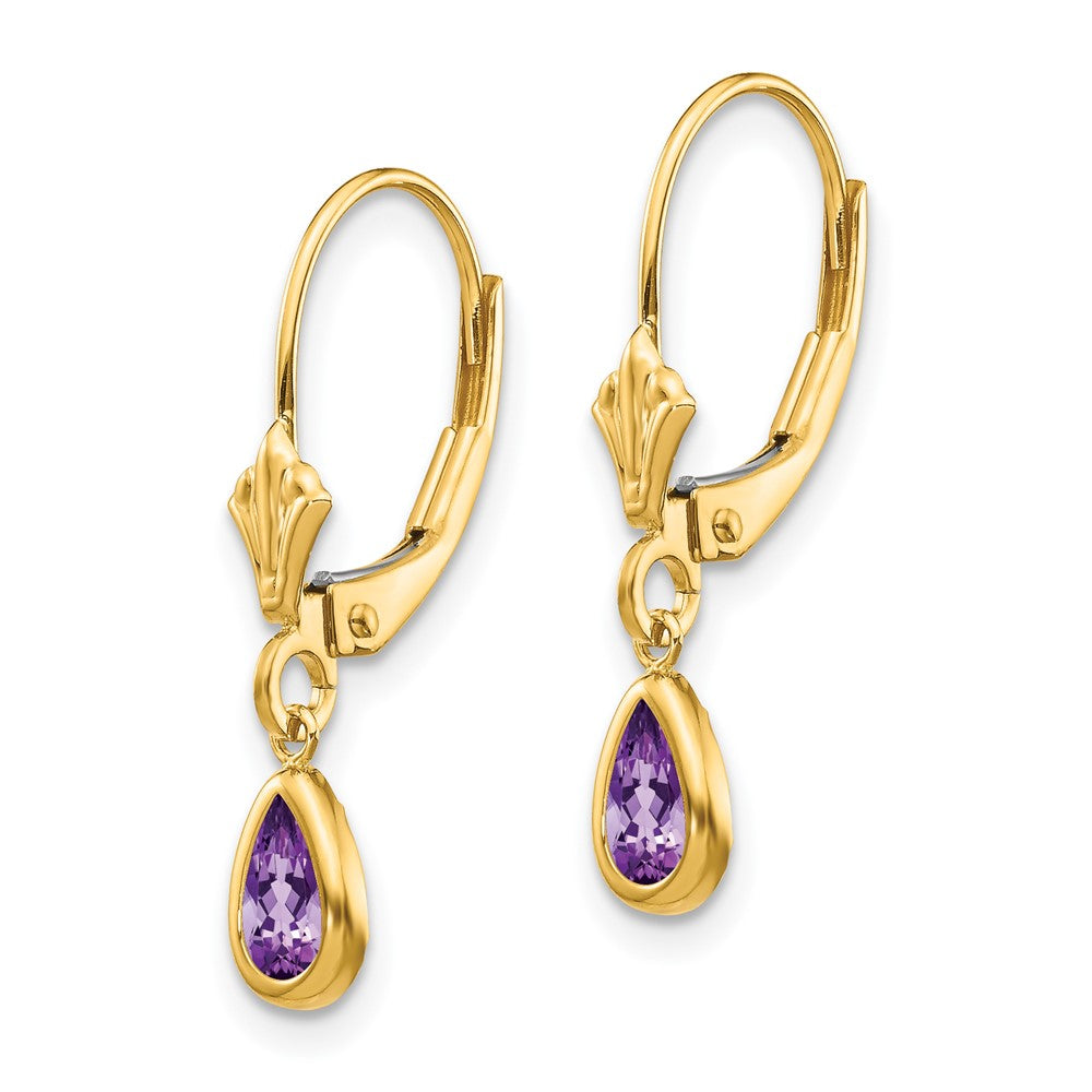 14K Yellow Gold 6x4mm Amethyst February Earrings