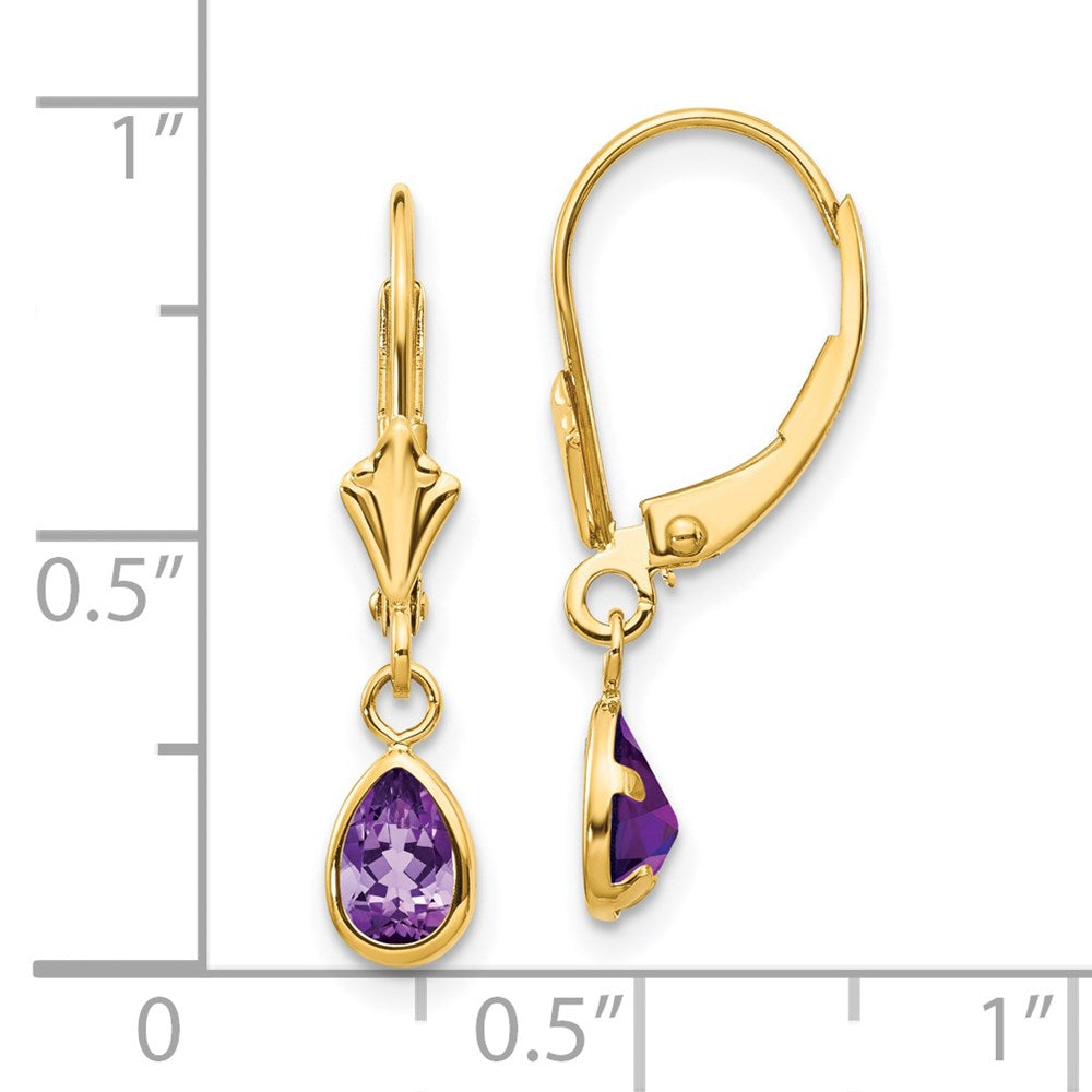 14K Yellow Gold 6x4mm Amethyst February Earrings