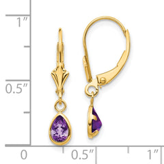 14K Yellow Gold 6x4mm Amethyst February Earrings