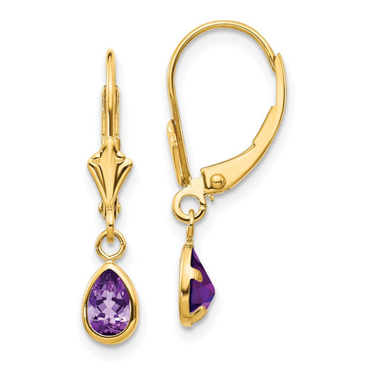 14K Yellow Gold 6x4mm Amethyst February Earrings