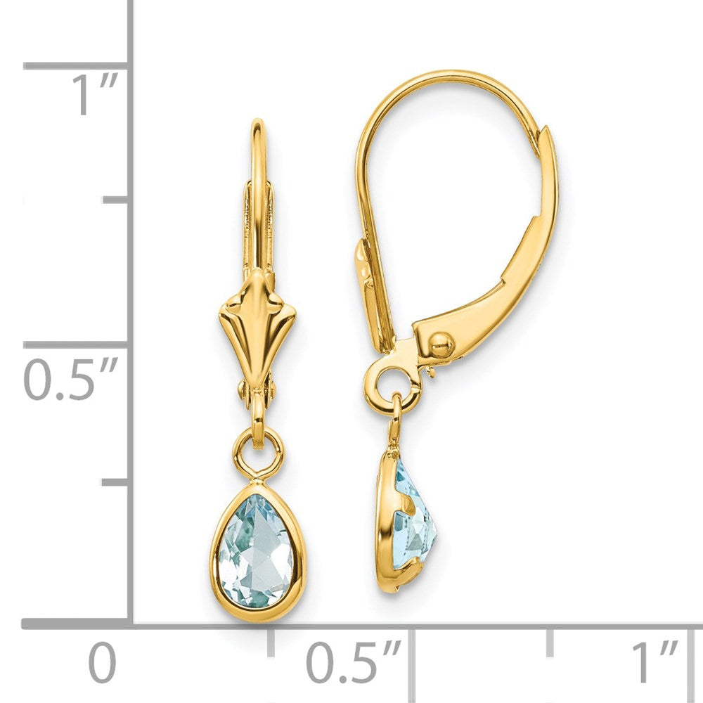 14K Yellow Gold 6x4mm March Aquamarine Earrings