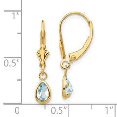 14K Yellow Gold 6x4mm March Aquamarine Earrings