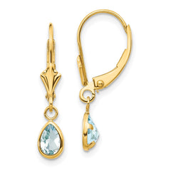 14K Yellow Gold 6x4mm March Aquamarine Earrings