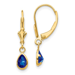 14K Yellow Gold 6x4mm September Sapphire Earrings