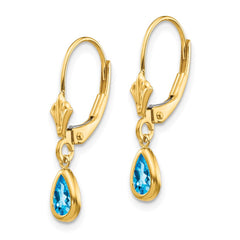 14K Yellow Gold 6x4mm December Blue Topaz Earrings