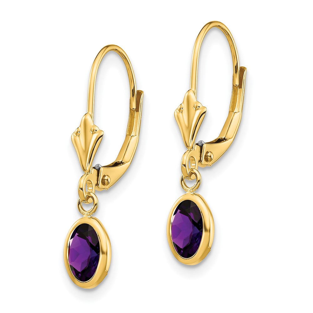 14K Yellow Gold 6x4mm February Amethyst Earrings