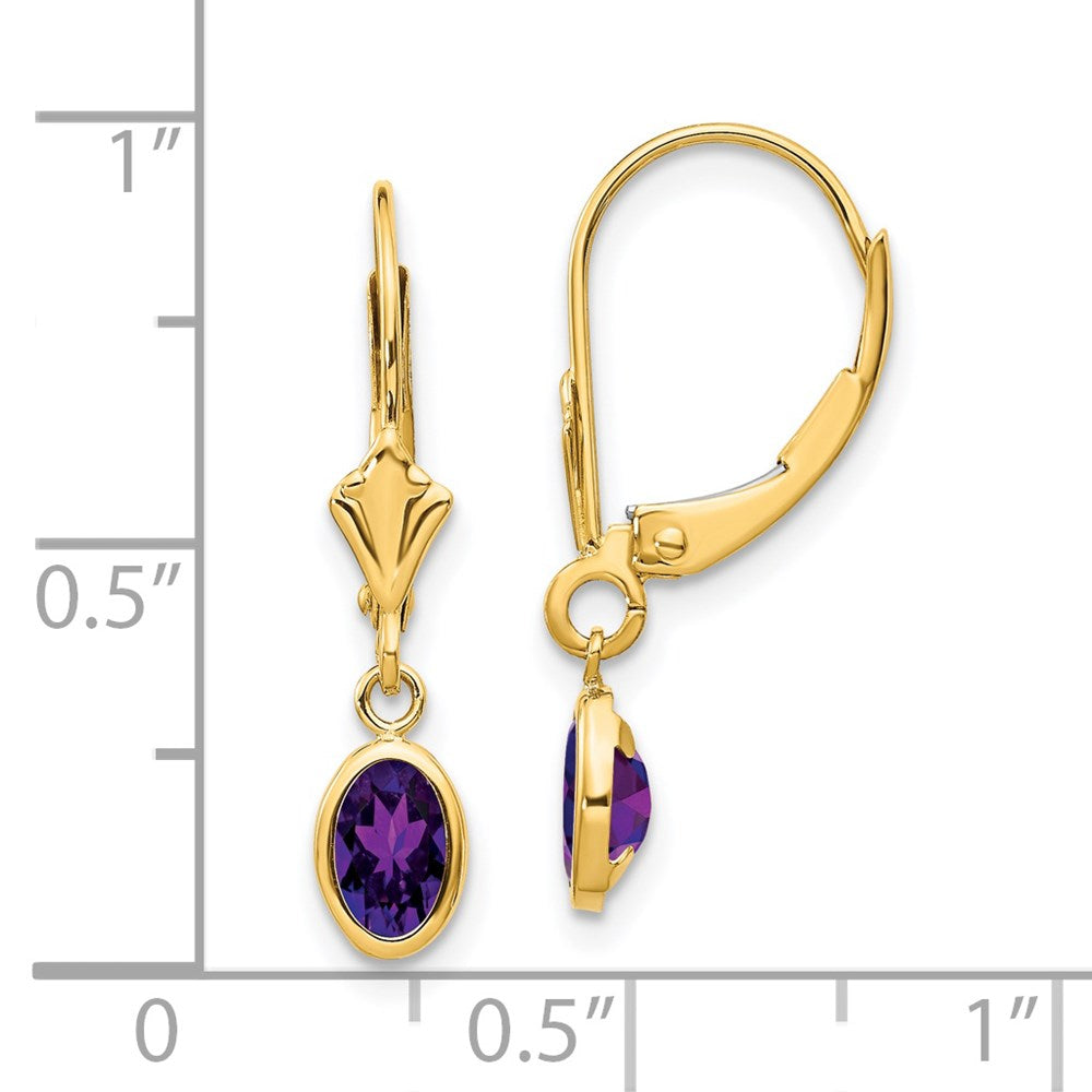 14K Yellow Gold 6x4mm February Amethyst Earrings