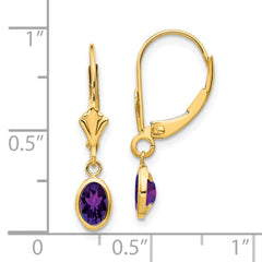 14K Yellow Gold 6x4mm February Amethyst Earrings