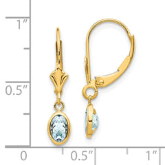 14K Yellow Gold 6x4mm Aquamarine March Earrings
