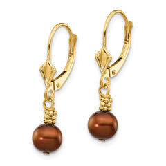 14K Yellow Gold 5-6mm Coffee Brown Semi-round FWC Pearl Leverback Earrings
