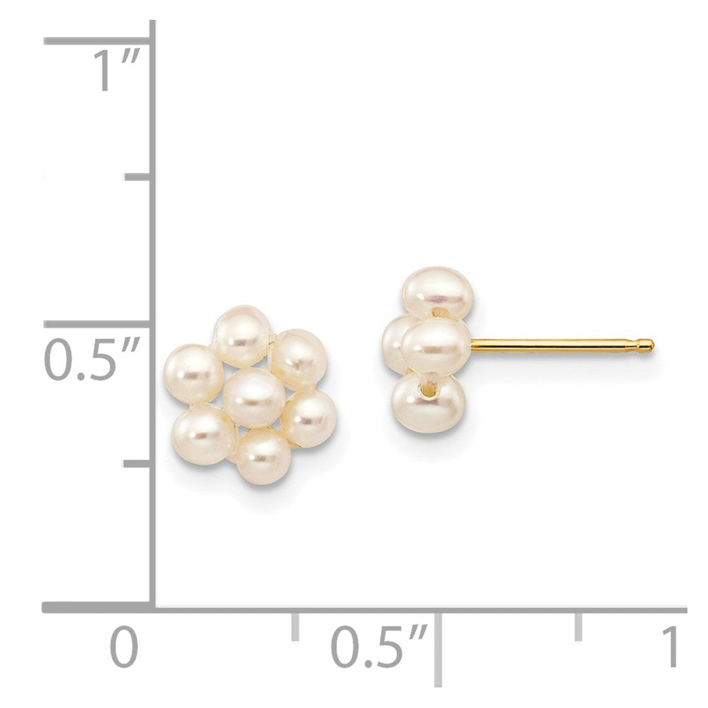 14K Yellow Gold 2-3mm White Egg FWC Pearl Flower Earrings