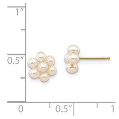 14K Yellow Gold 2-3mm White Egg FWC Pearl Flower Earrings