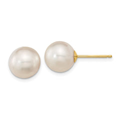 14K Yellow Gold 10-11mm White Round Saltwater Cultured South Sea Pearl Post Earrings