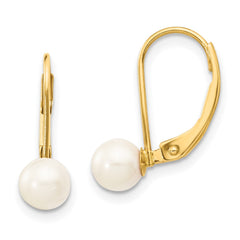 14K Yellow Gold 5-6mm White Round Saltwater Akoya Cultured Pearl Leverback Earrings
